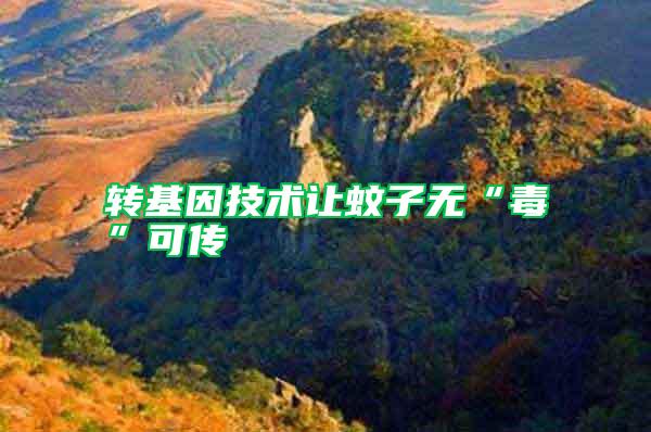 轉(zhuǎn)基因技術(shù)讓蚊子無(wú)“毒”可傳