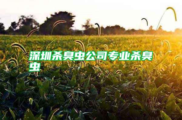 深圳殺臭蟲公司專業(yè)殺臭蟲