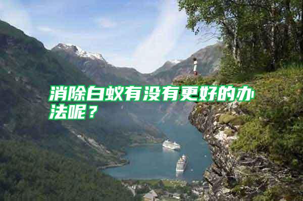 消除白蟻有沒有更好的辦法呢？
