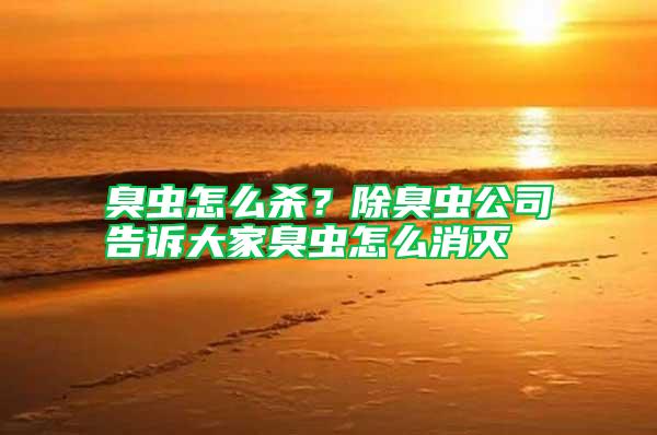 臭蟲怎么殺？除臭蟲公司告訴大家臭蟲怎么消滅