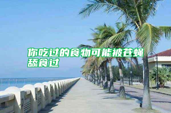 你吃過的食物可能被蒼蠅舔食過