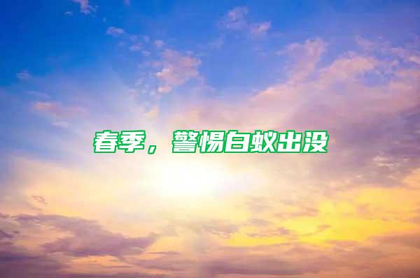 春季，警惕白蟻出沒