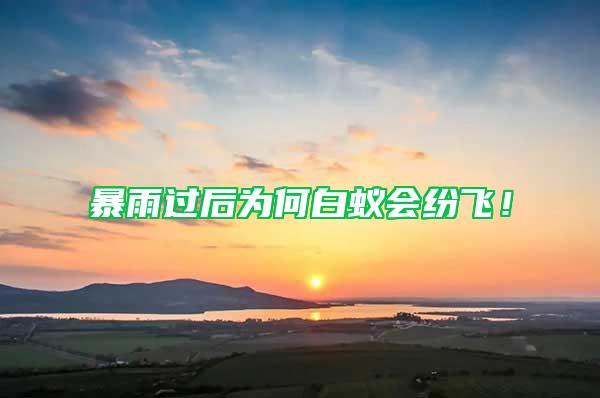 暴雨過(guò)后為何白蟻會(huì)紛飛！