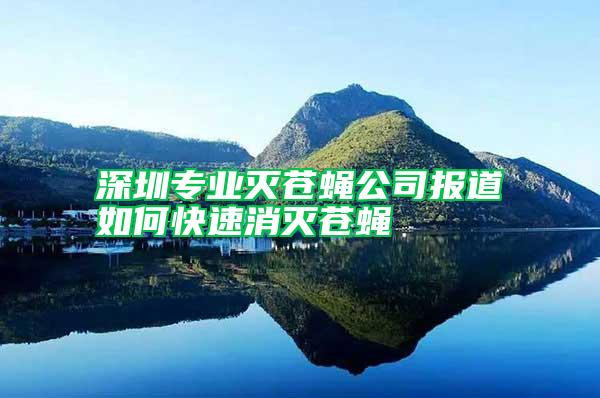 深圳專業滅蒼蠅公司報道如何快速消滅蒼蠅