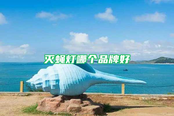 滅蠅燈哪個品牌好