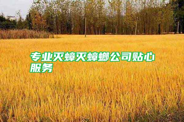 專業滅蟑滅蟑螂公司貼心服務