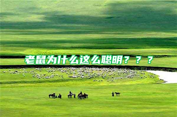 老鼠為什么這么聰明？？？