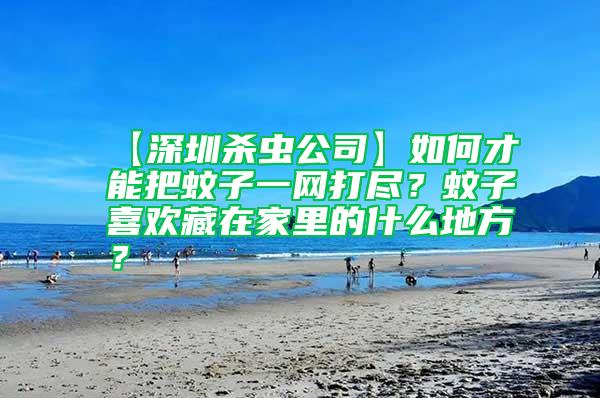 【深圳殺蟲公司】如何才能把蚊子一網(wǎng)打盡？蚊子喜歡藏在家里的什么地方？
