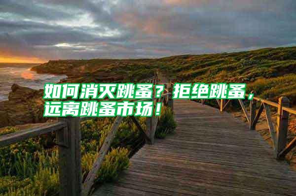 如何消滅跳蚤？拒絕跳蚤，遠(yuǎn)離跳蚤市場(chǎng)！