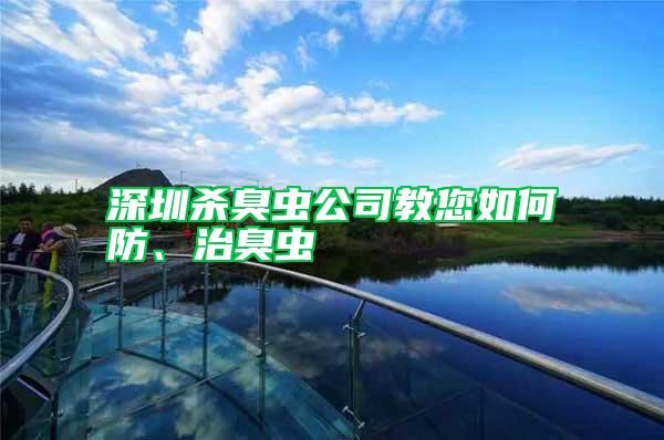 深圳殺臭蟲公司教您如何防、治臭蟲