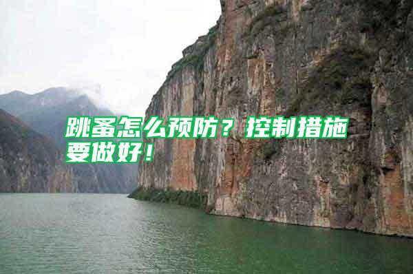 跳蚤怎么預(yù)防？控制措施要做好！