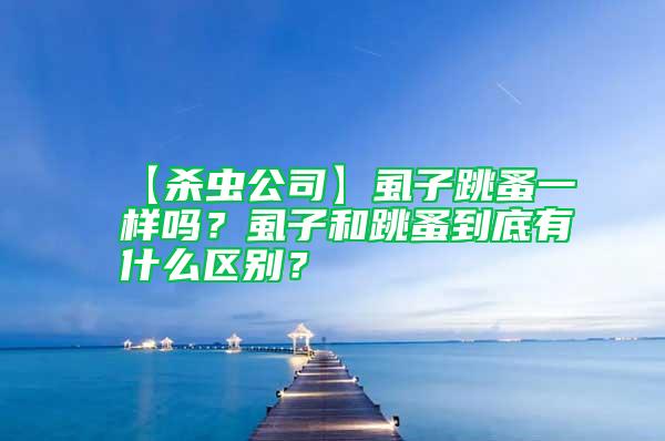 【殺蟲公司】虱子跳蚤一樣嗎？虱子和跳蚤到底有什么區別？