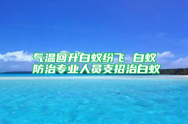氣溫回升白蟻紛飛 白蟻防治專業人員支招治白蟻