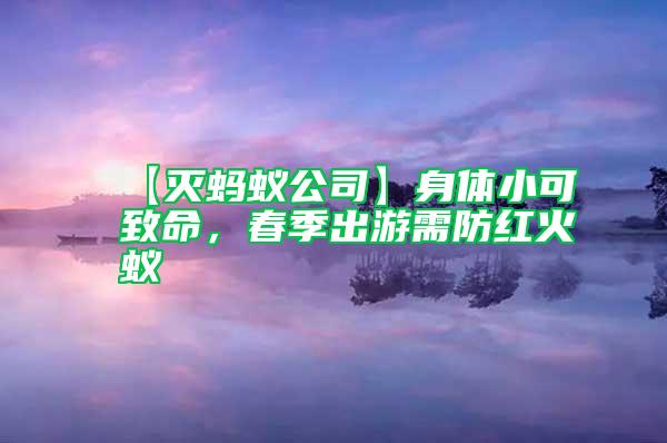 【滅螞蟻公司】身體小可致命，春季出游需防紅火蟻
