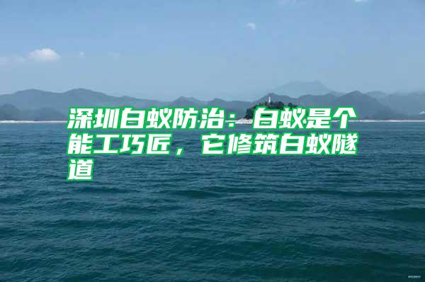 深圳白蟻防治：白蟻是個能工巧匠，它修筑白蟻隧道