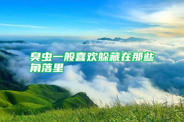 臭蟲一般喜歡躲藏在那些角落里