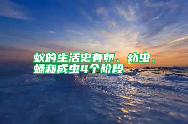 蟻的生活史有卵、幼蟲、蛹和成蟲4個階段