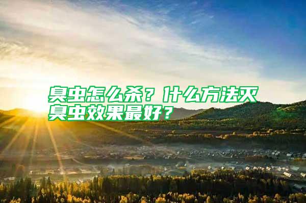 臭蟲怎么殺？什么方法滅臭蟲效果最好？