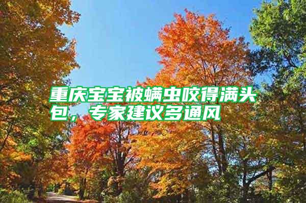 重慶寶寶被螨蟲咬得滿頭包，專家建議多通風