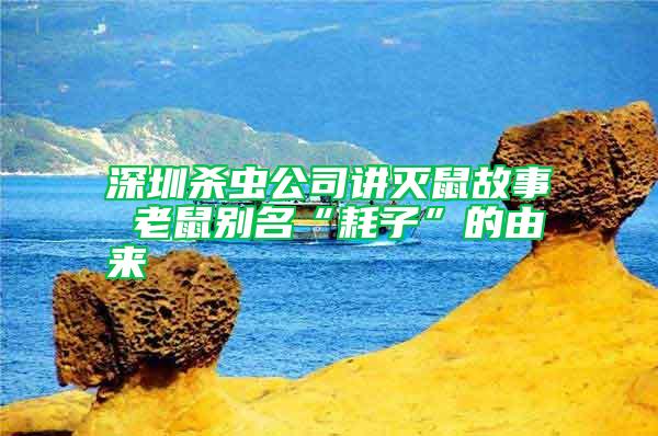 深圳殺蟲公司講滅鼠故事 老鼠別名“耗子”的由來