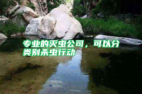 專業(yè)的滅蟲(chóng)公司，可以分類別殺蟲(chóng)行動(dòng)