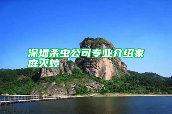 深圳殺蟲公司專業介紹家庭滅蟑