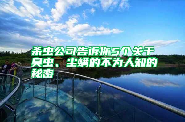 殺蟲公司告訴你5個關(guān)于臭蟲、塵螨的不為人知的秘密