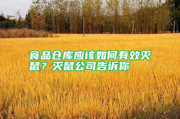 食品倉(cāng)庫(kù)應(yīng)該如何有效滅鼠？滅鼠公司告訴你