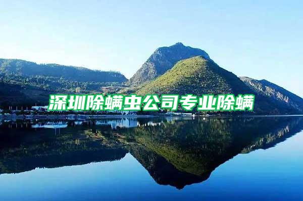 深圳除螨蟲公司專業除螨