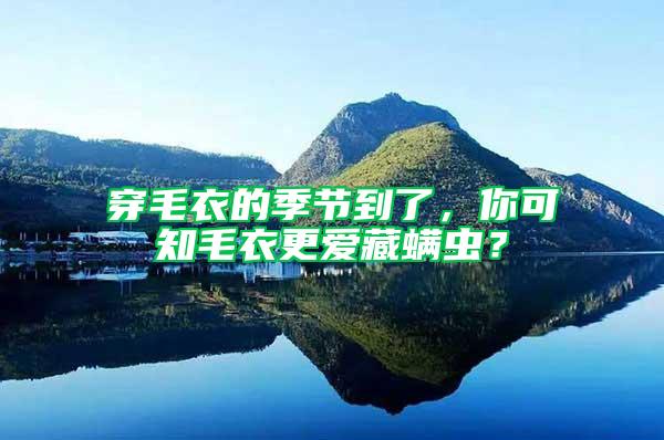穿毛衣的季節(jié)到了，你可知毛衣更愛藏螨蟲？