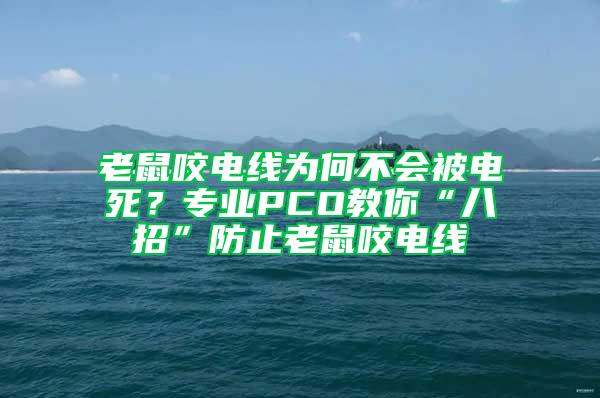 老鼠咬電線為何不會被電死？專業PCO教你“八招”防止老鼠咬電線