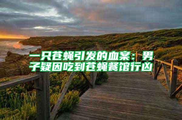 一只蒼蠅引發的血案：男子疑因吃到蒼蠅餐館行兇