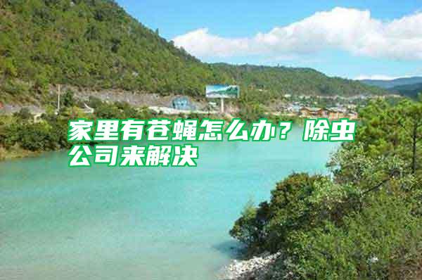 家里有蒼蠅怎么辦？除蟲公司來解決