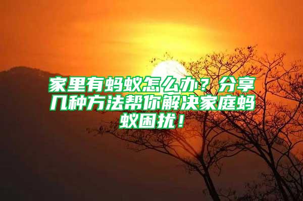 家里有螞蟻怎么辦？分享幾種方法幫你解決家庭螞蟻困擾！