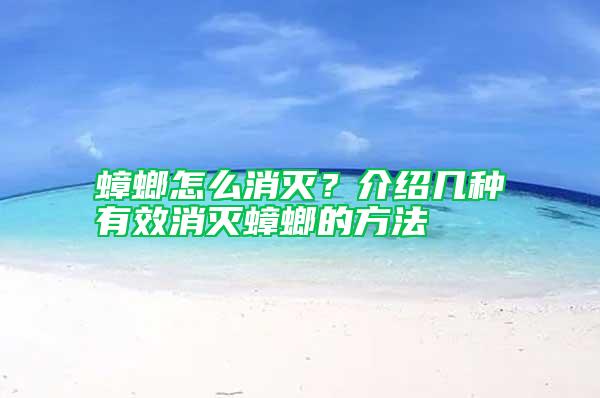 蟑螂怎么消滅？介紹幾種有效消滅蟑螂的方法