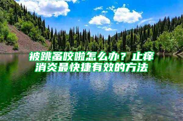 被跳蚤咬啦怎么辦？止癢消炎最快捷有效的方法