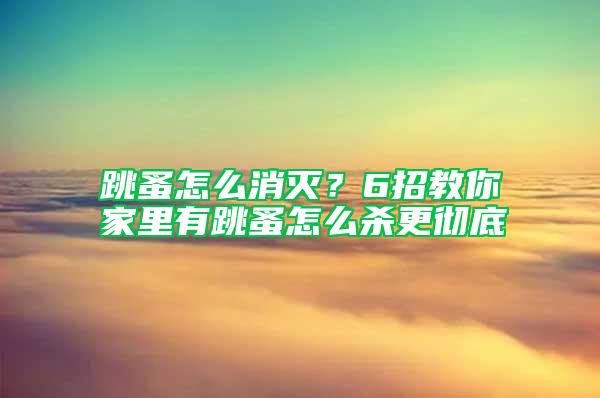 跳蚤怎么消滅？6招教你家里有跳蚤怎么殺更徹底