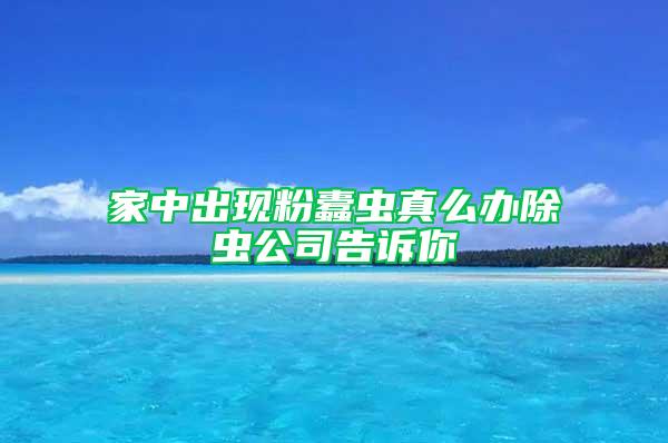 家中出現(xiàn)粉蠹蟲真么辦除蟲公司告訴你