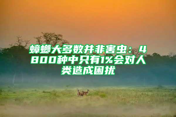 蟑螂大多數并非害蟲：4800種中只有1%會對人類造成困擾