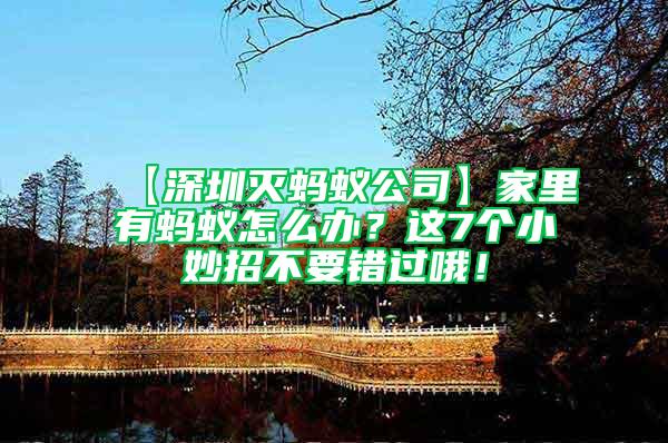 【深圳滅螞蟻公司】家里有螞蟻怎么辦？這7個小妙招不要錯過哦！