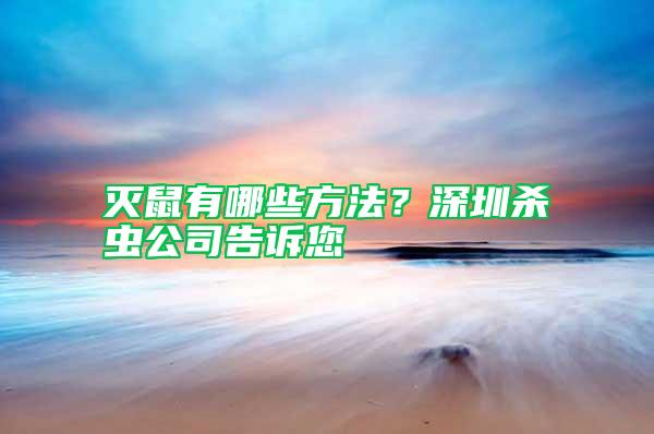 滅鼠有哪些方法？深圳殺蟲公司告訴您