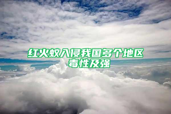 紅火蟻入侵我國多個地區 毒性及強