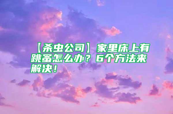 【殺蟲公司】家里床上有跳蚤怎么辦？6個方法來解決！