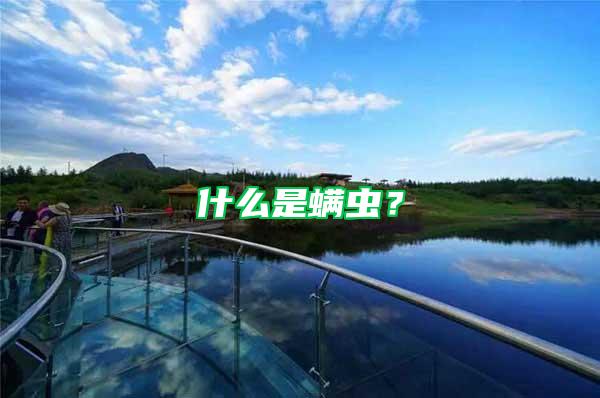 什么是螨蟲(chóng)？
