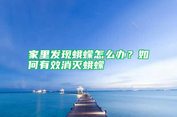 家里發現蛾蠓怎么辦？如何有效消滅蛾蠓
