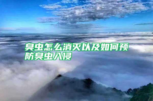 臭蟲(chóng)怎么消滅以及如何預(yù)防臭蟲(chóng)入侵