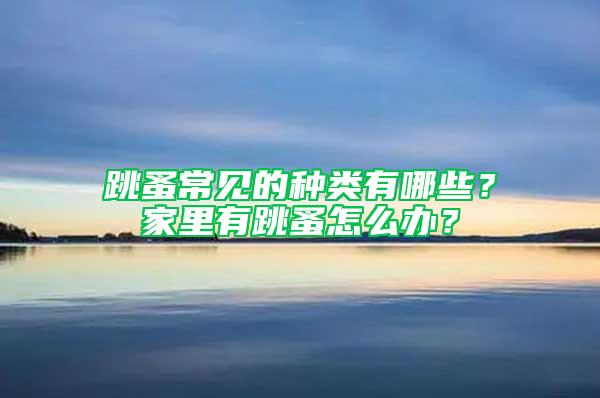 跳蚤常見(jiàn)的種類(lèi)有哪些？家里有跳蚤怎么辦？