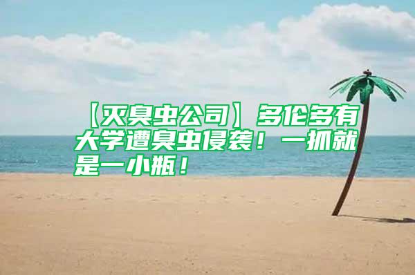 【滅臭蟲公司】多倫多有大學(xué)遭臭蟲侵襲！一抓就是一小瓶！