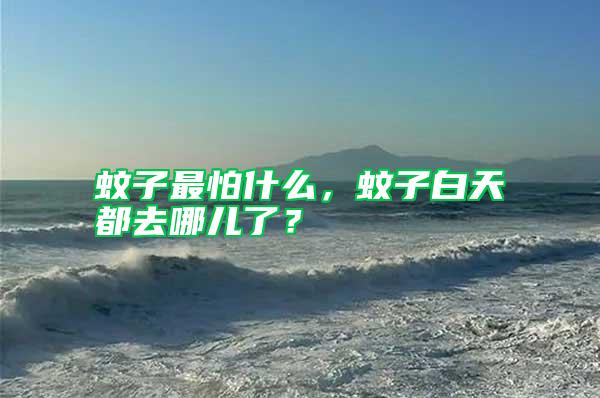 蚊子最怕什么，蚊子白天都去哪兒了？