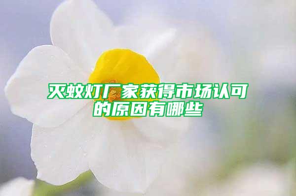 滅蚊燈廠家獲得市場認可的原因有哪些